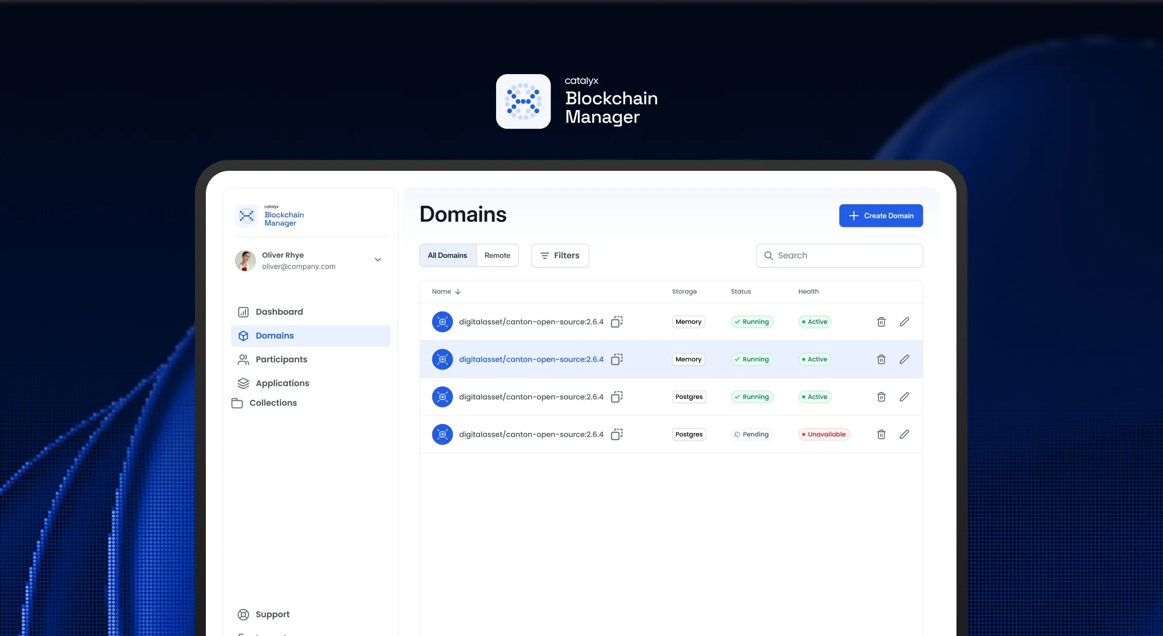 Blockchain Manager interface showing a Domains tab with a list of digital assets, their storage types, statuses, and health conditions, highlighting one running memory domain.