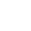 White left arrow icon