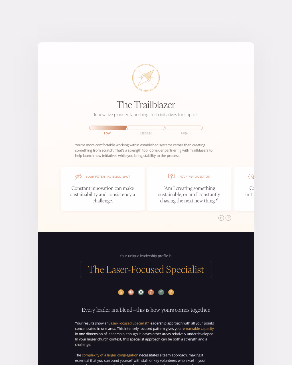 Leadership profile showing The Trailblazer with low innovation score and The Laser-Focused Specialist leadership blend explanation.