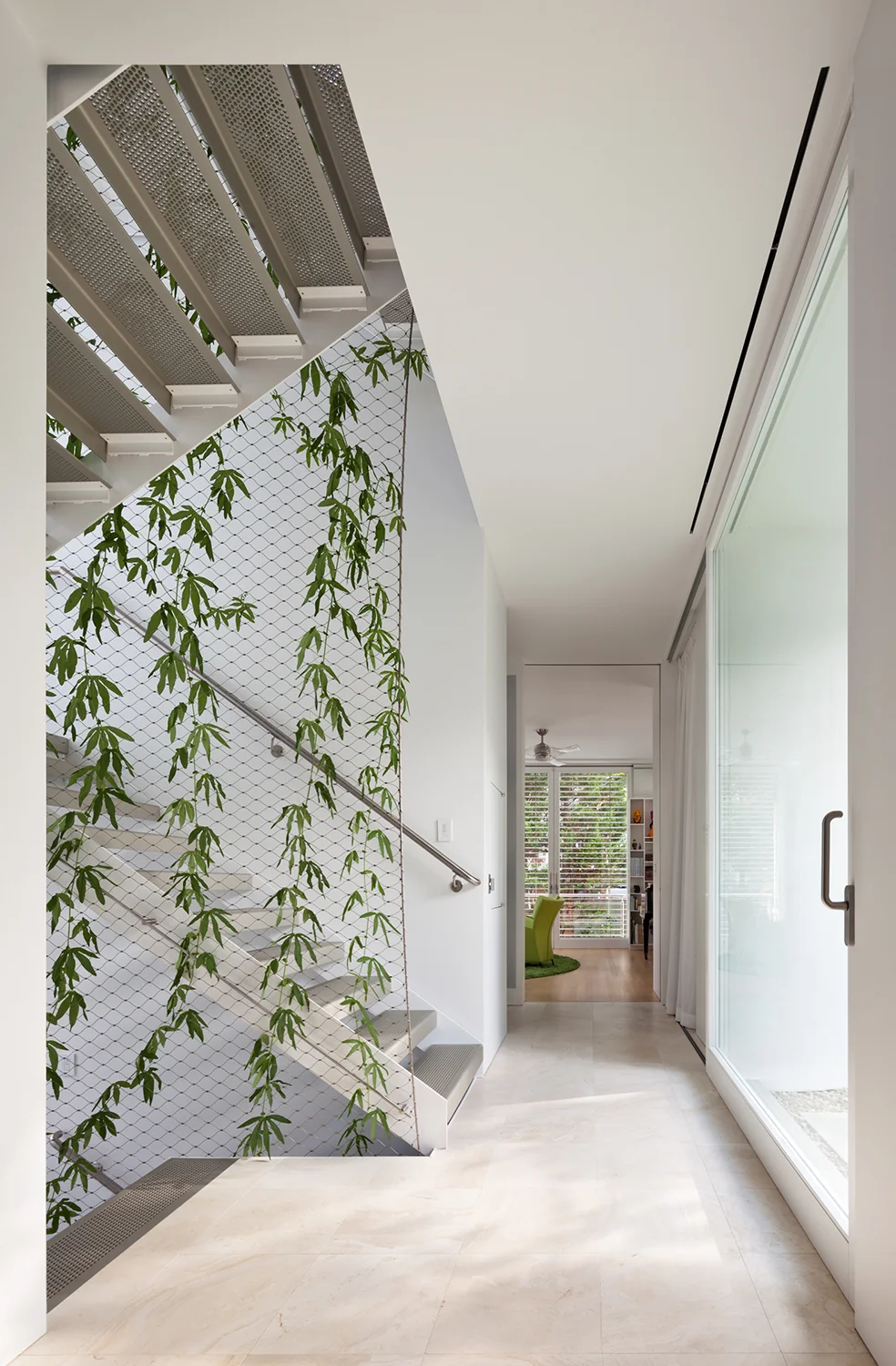 A view down the hall showing the open stairway with passion fruit vines climbing netting between the risers.