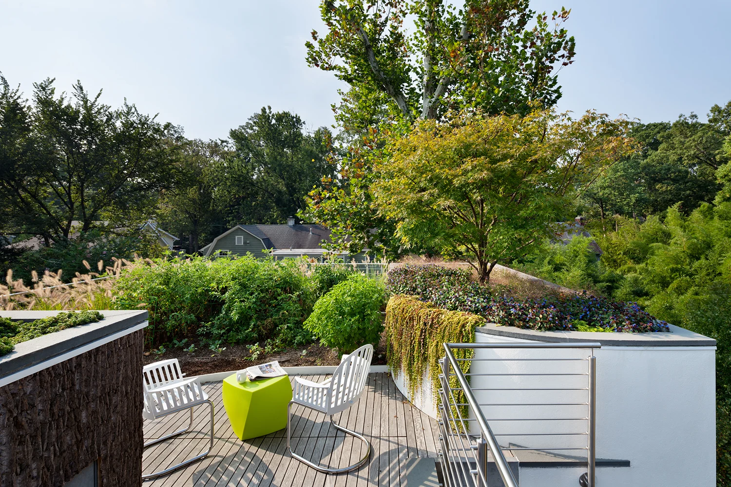 A lush garden on a modern white house.
