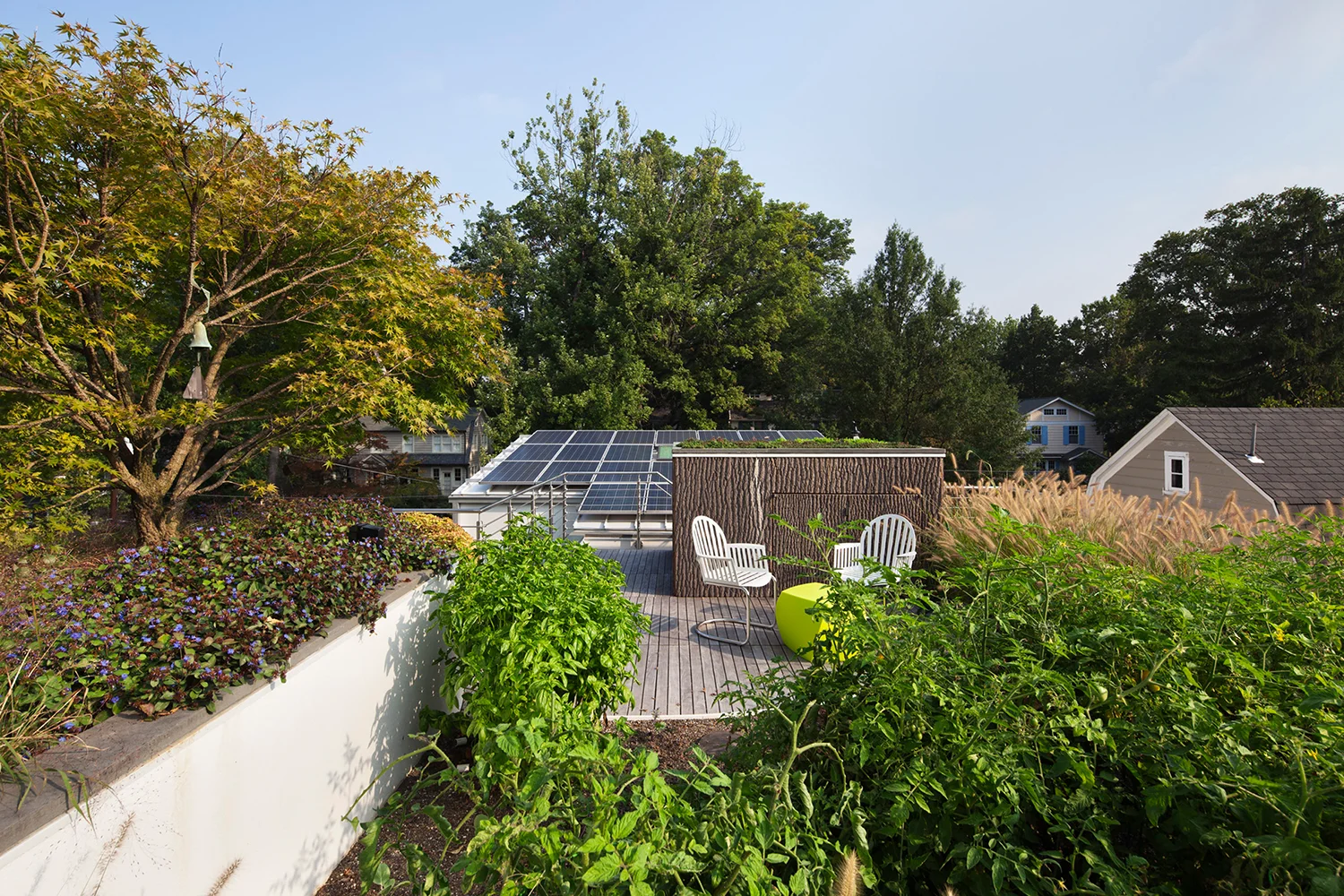 Two chairs sit on the upper roof deck with views of the rooftop gardens, the stair shaft clad in bark, and the solar panels in the distance.