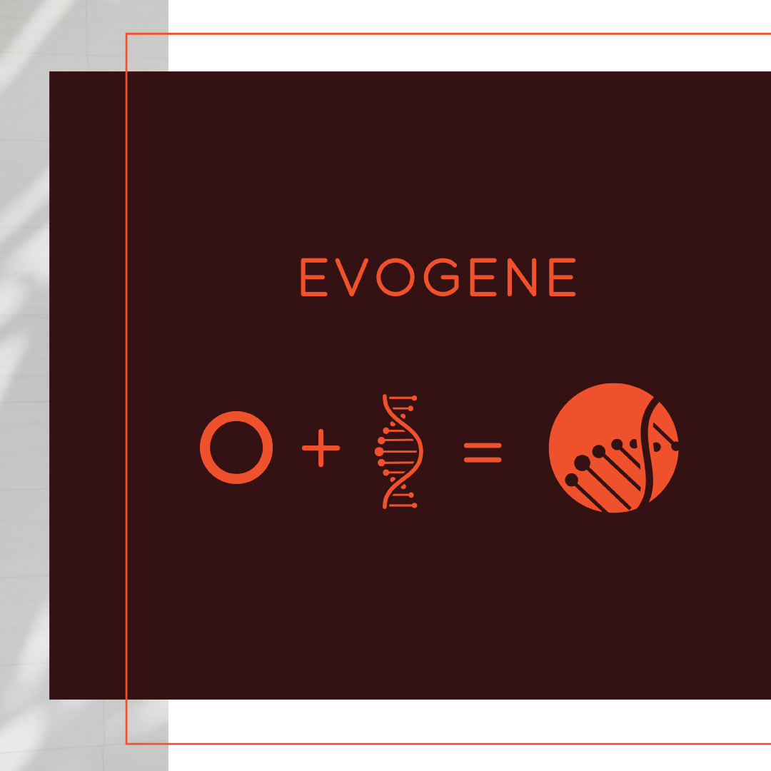 Graphic showing the brand name EVOGENE with a visual equation of a circle plus a DNA strand equals a circle containing a stylized DNA strand.