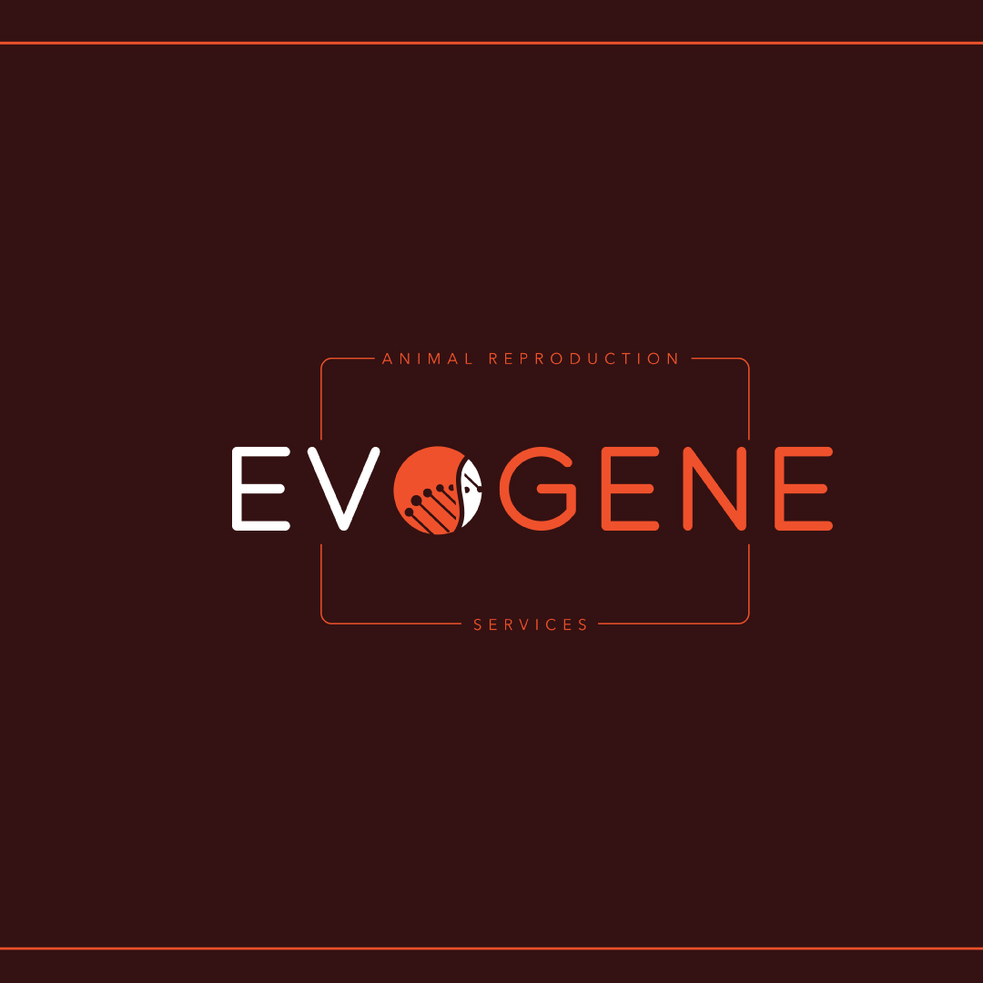 Logo for Evogene Animal Reproduction Services with stylized text and a DNA helix integrated in the letter O.