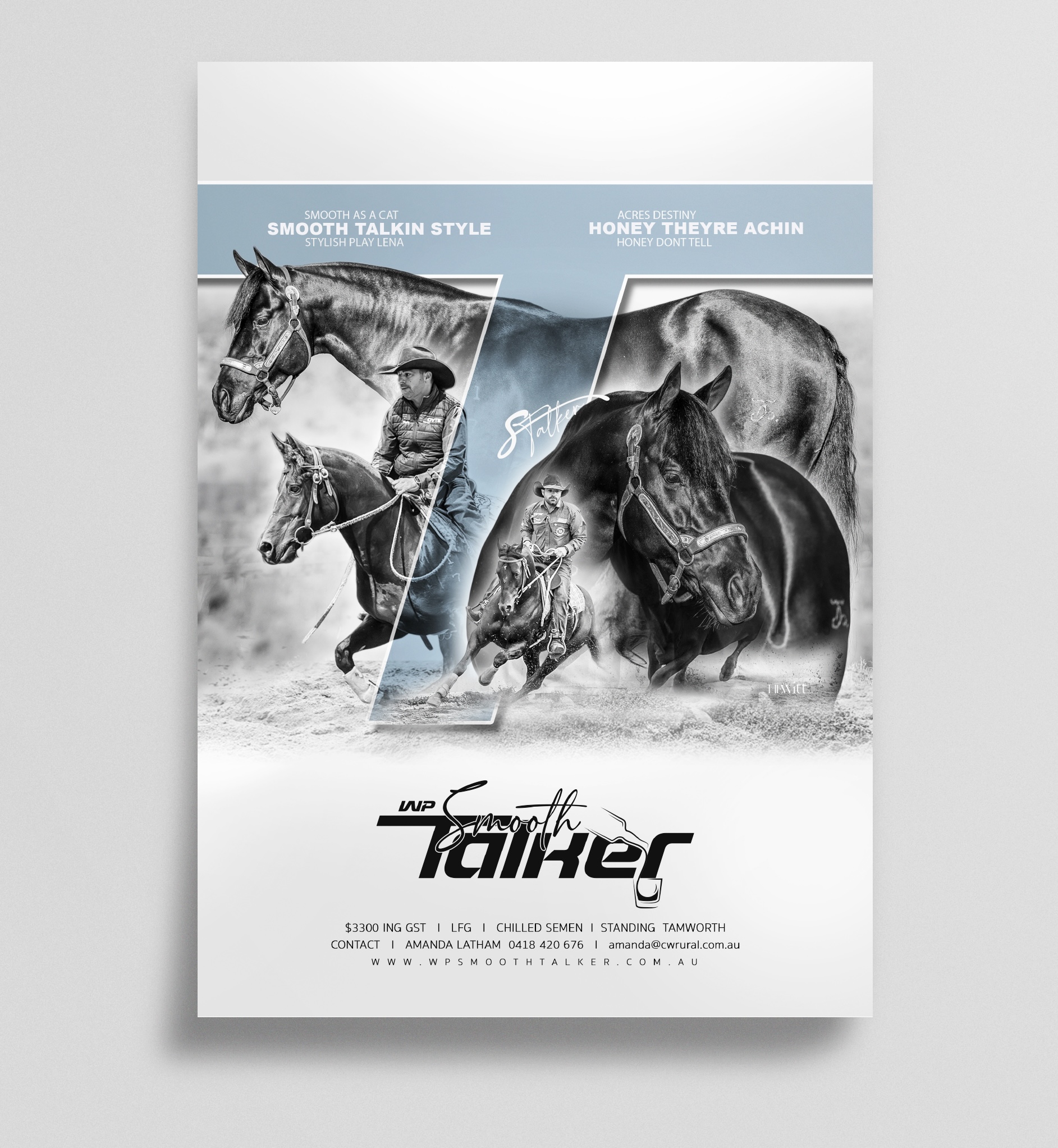 Promotional poster featuring black and white images of horses and riders with stylized number 7 in blue, advertising WP Smooth Talker horse breeding services.