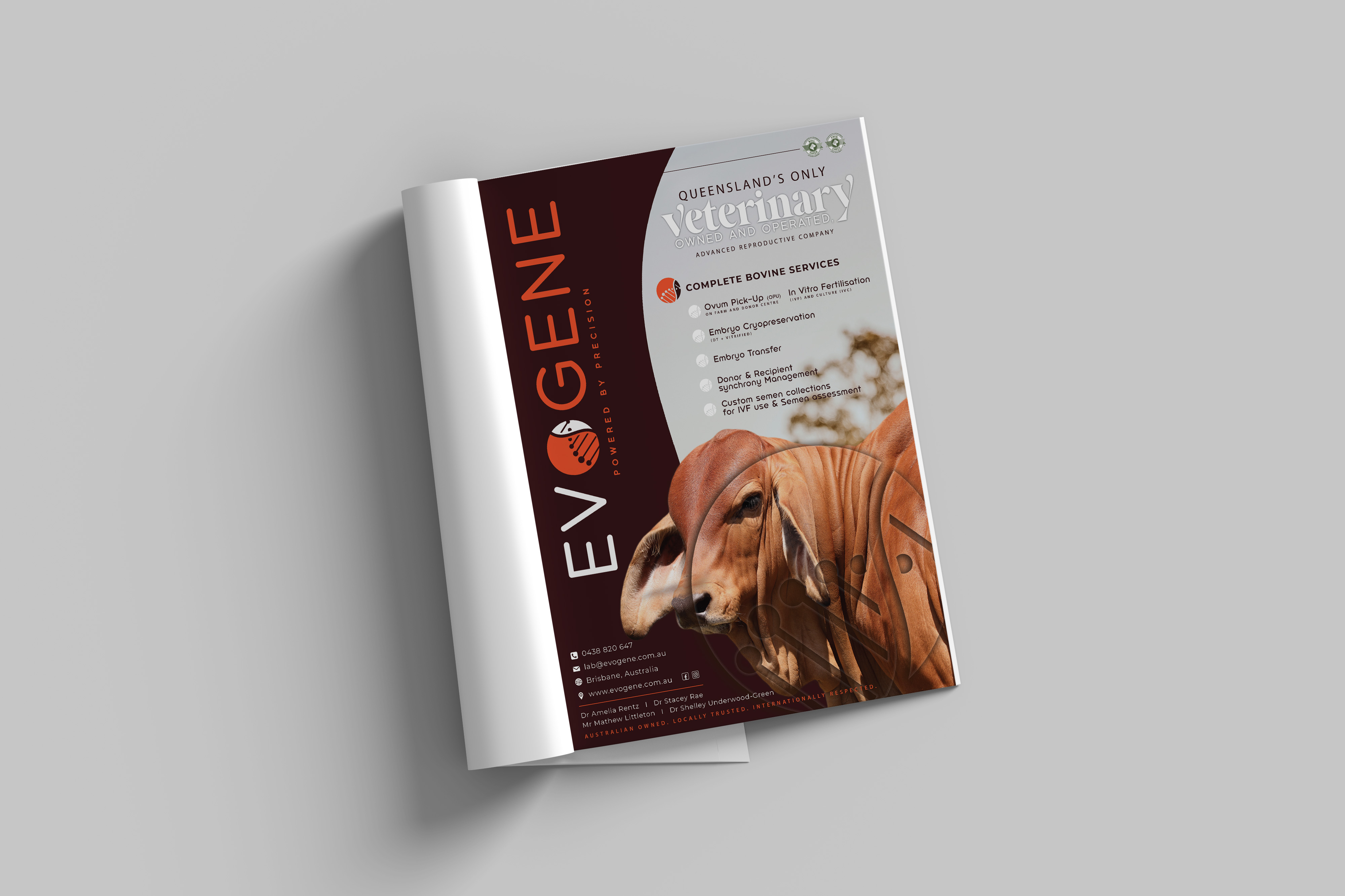 Magazine page showing an Evogene advertisement with image of two brown cows and a list of complete bovine veterinary services offered in Queensland.