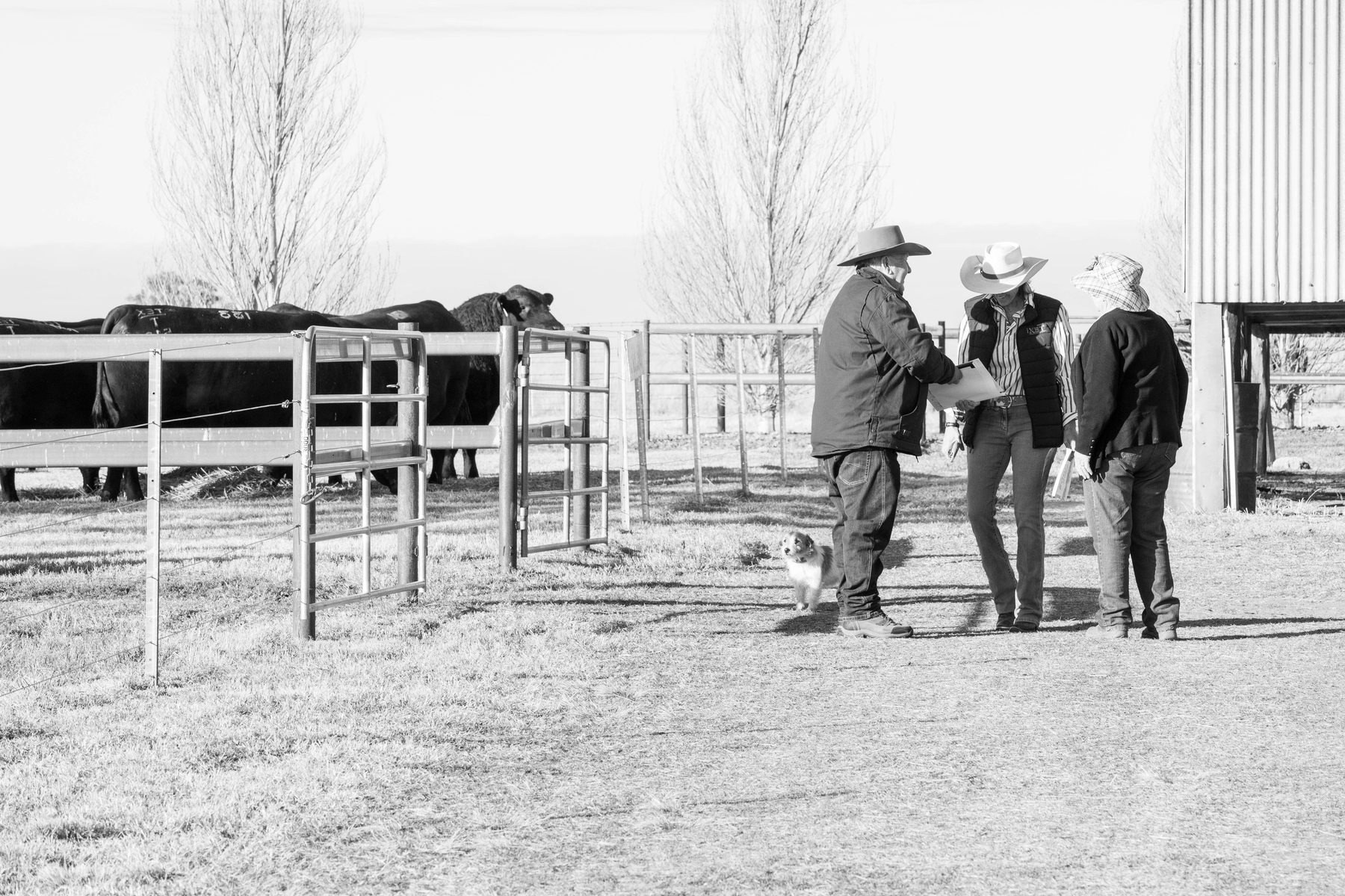 Working through details in the yards