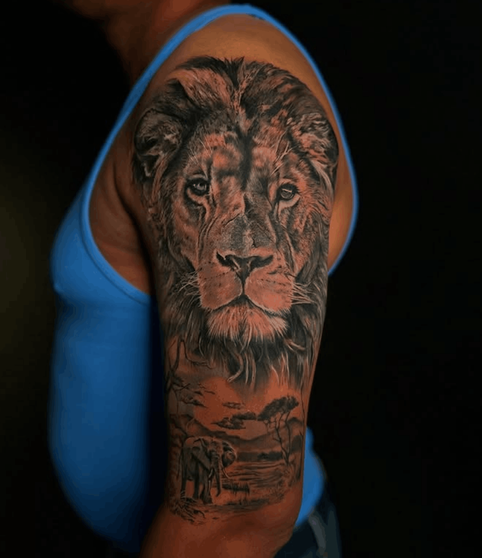 Tattoo coverup of a portrait of a lion done by Noah Brewer