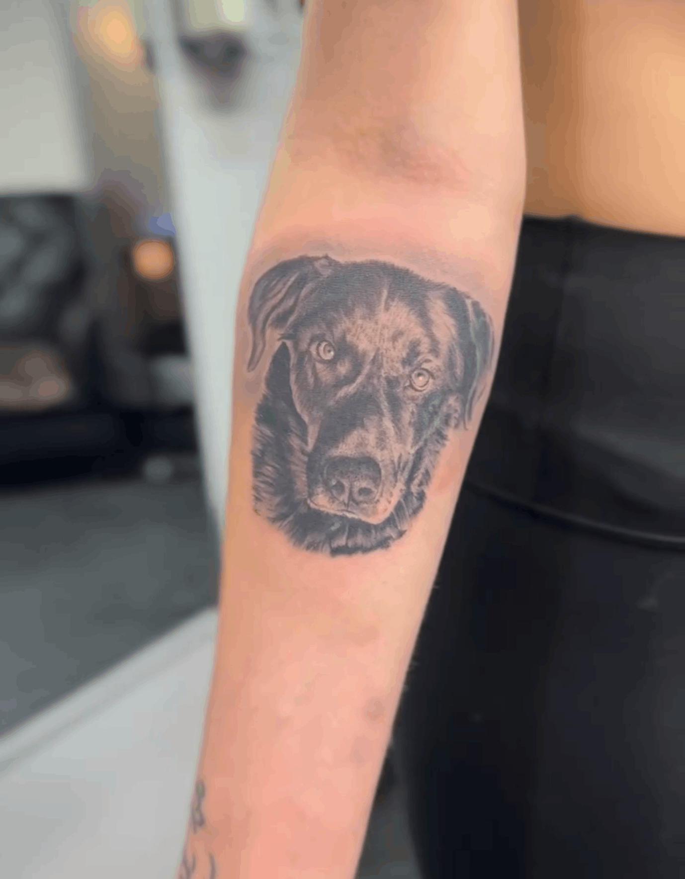 Tattoo of a dog portrait done by Noah Brewer