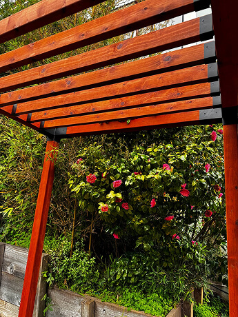 Custom wood lattice patio cover with an open slatted roof, providing partial shade in a California backyard.