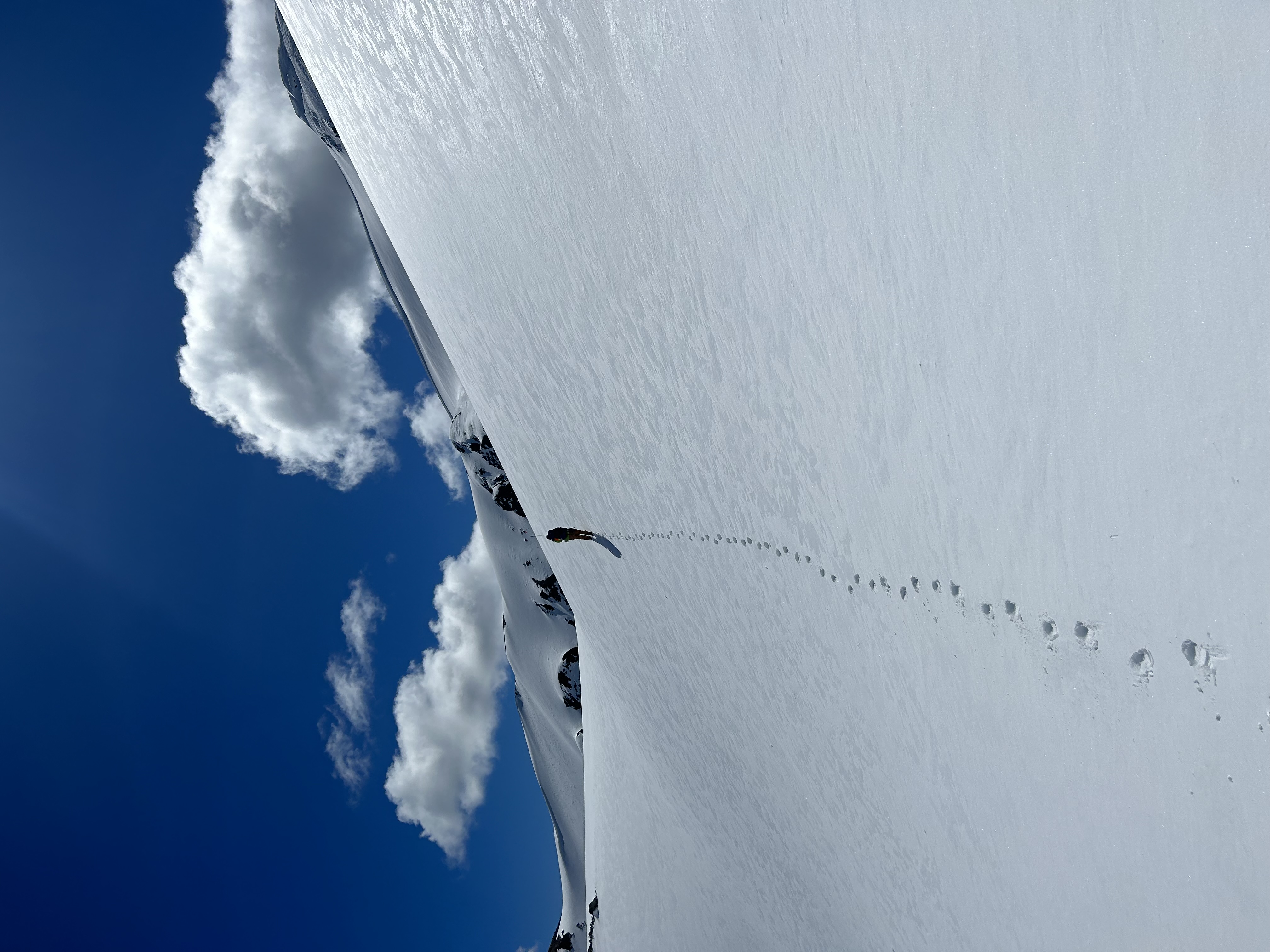 [background image] image of construction equipment (for a construction company)