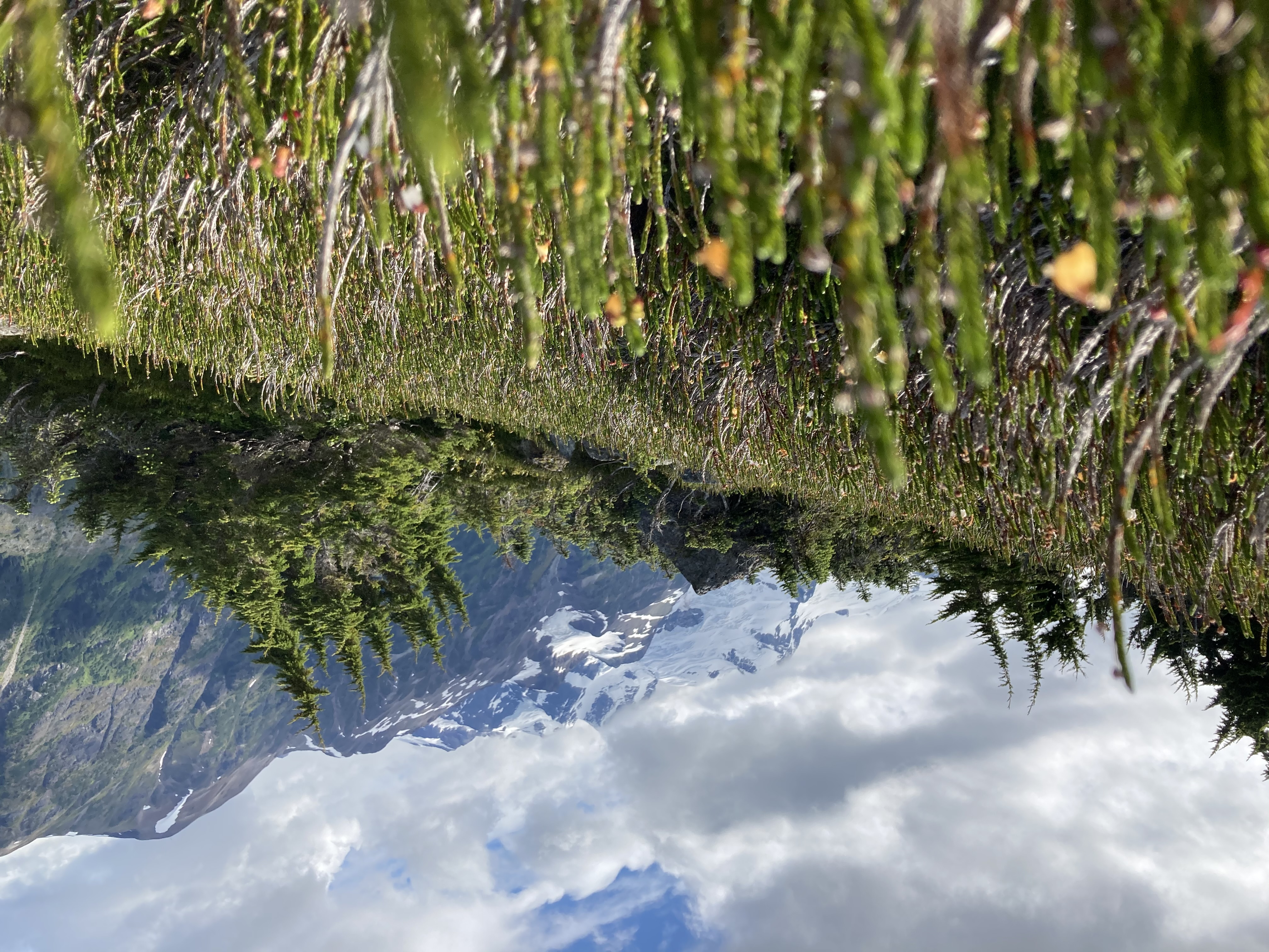 [background image] of retail setting (for a beauty product)