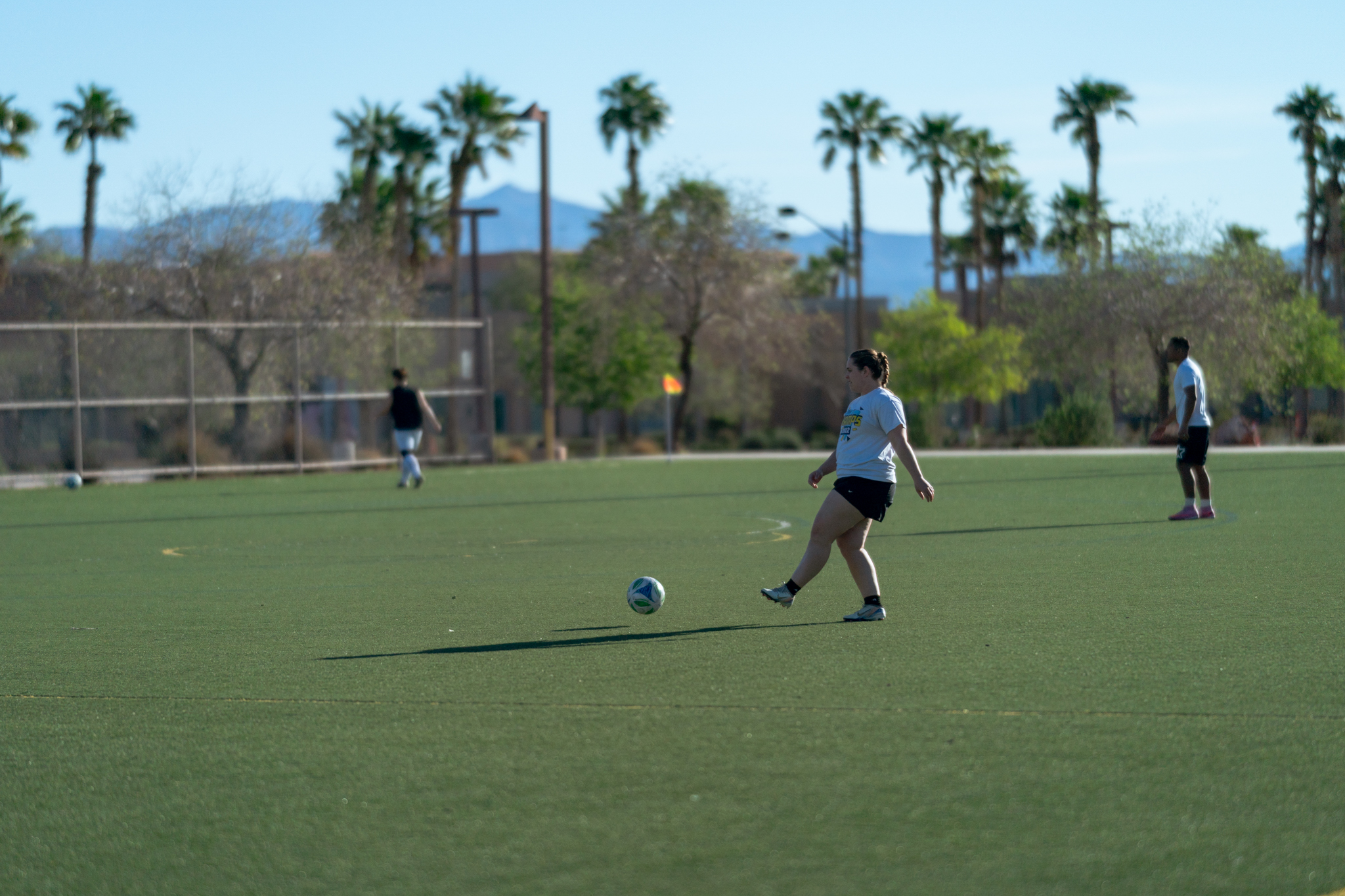 image of tech solutions demonstration (for a hr tech)