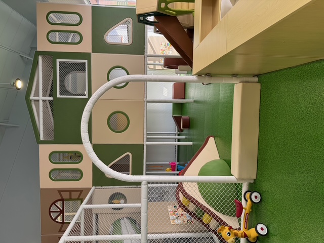 Interactive Ball Launch Wall