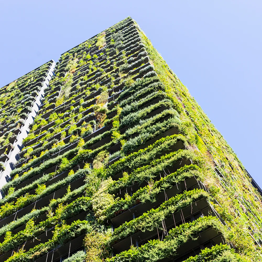 Tall building covered with vertical garden plants against clear blue sky.