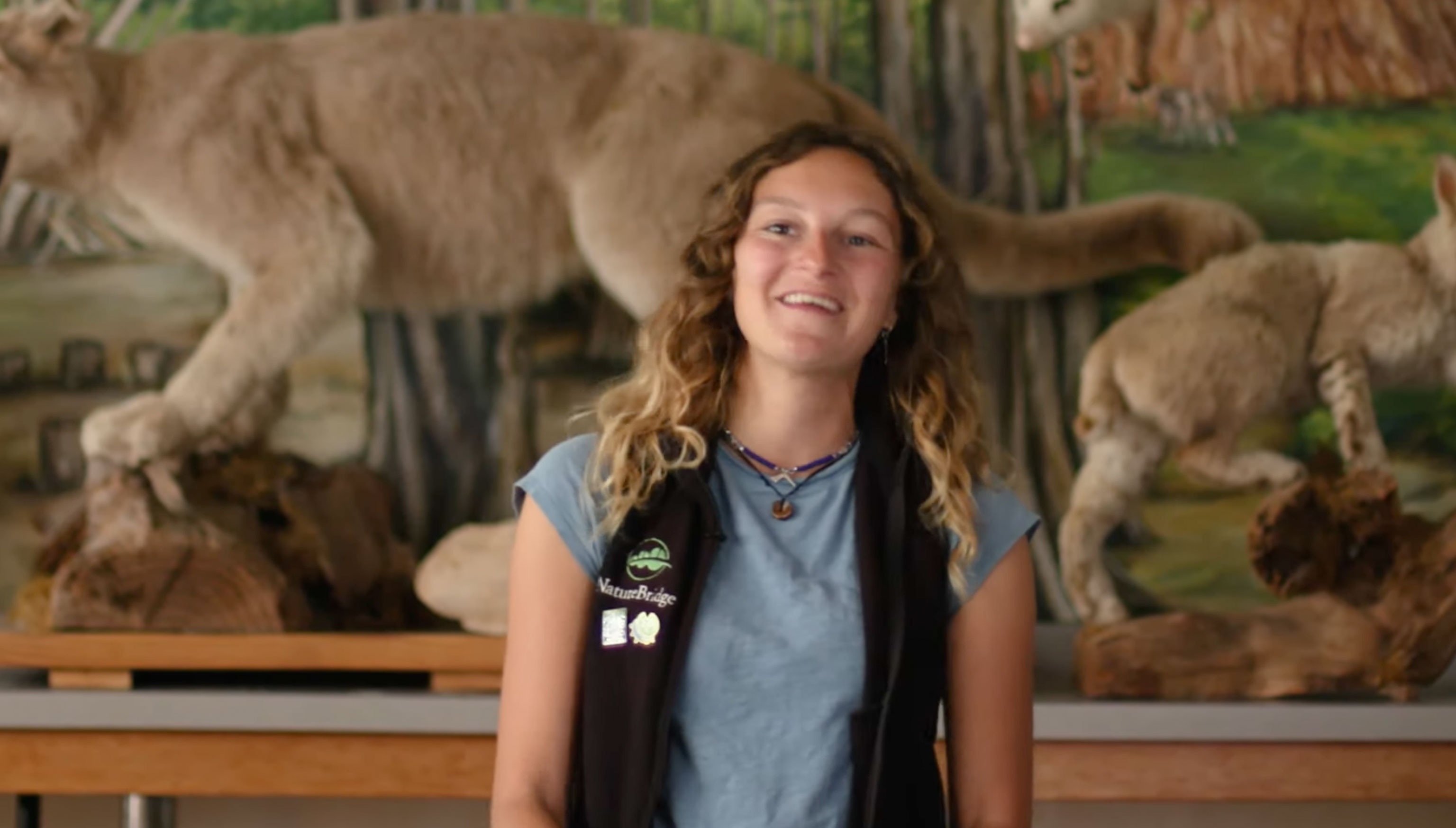 Triangle behind a mountain range made with structural grid like texture