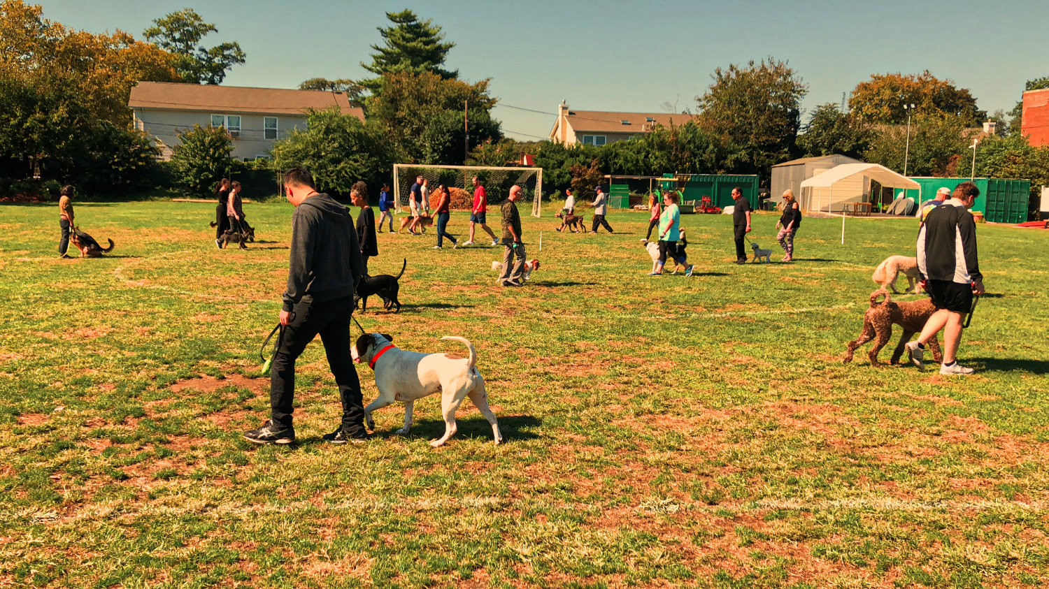 A handler practicing heel work with a dog during a K9KEY graduate group session on Long Island