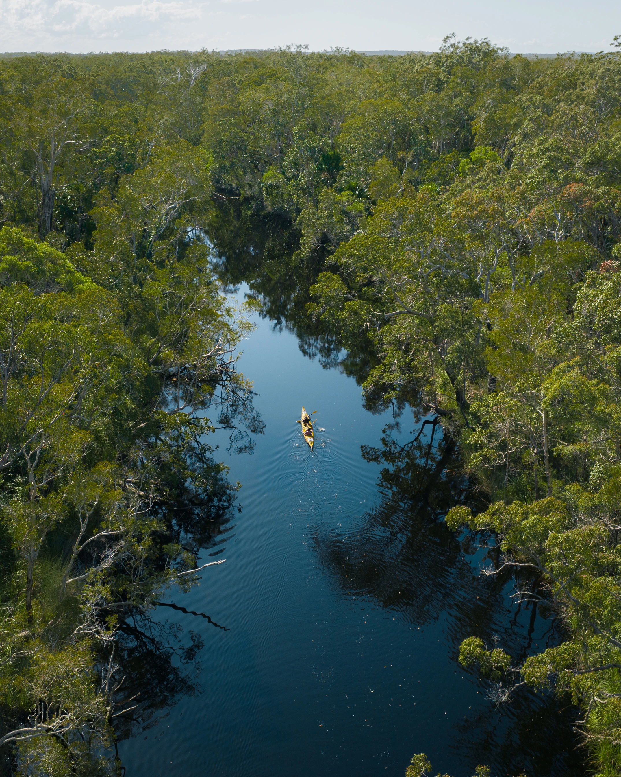 Noosa Sustainability
