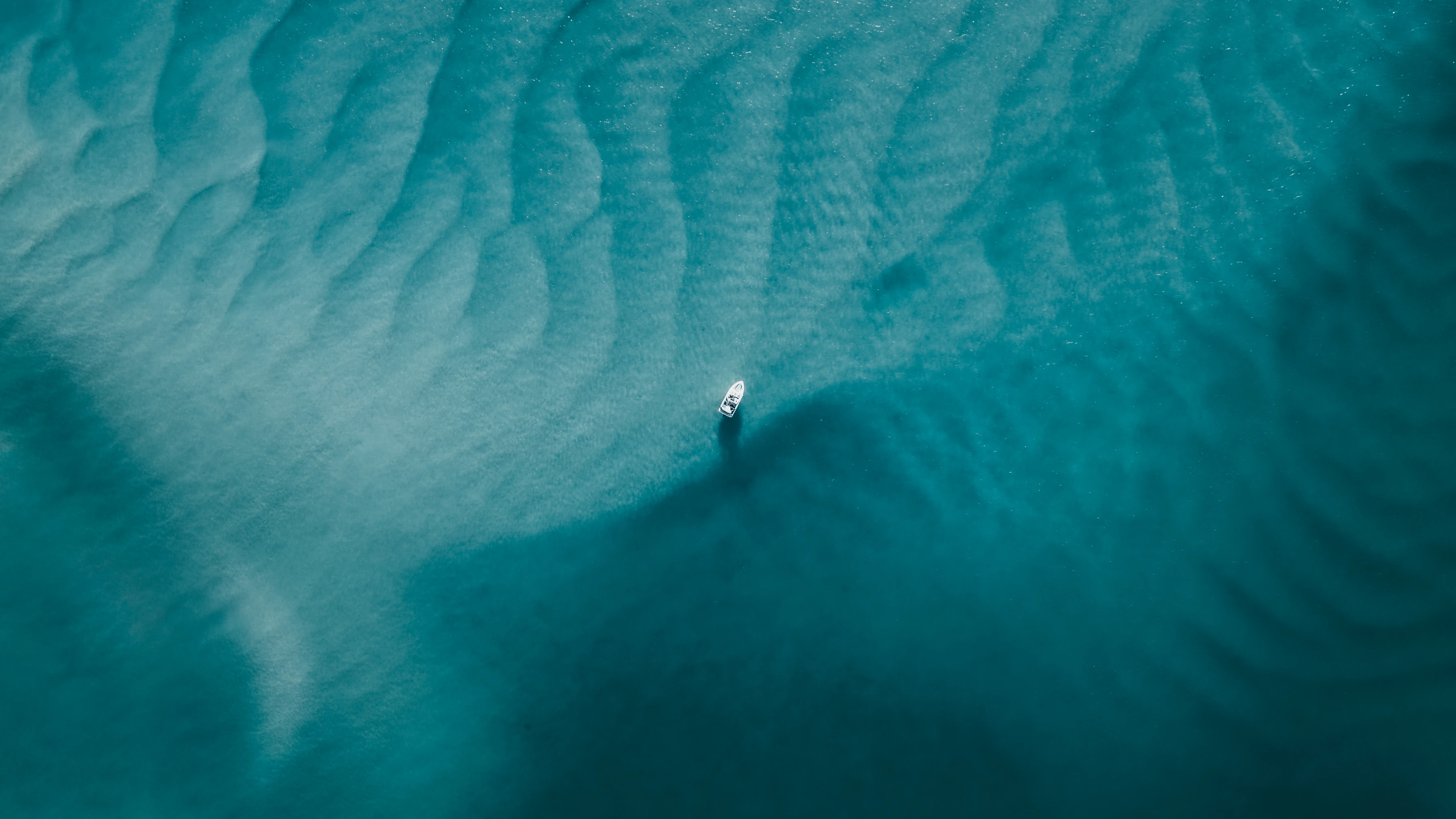 Noosa aerial greenery