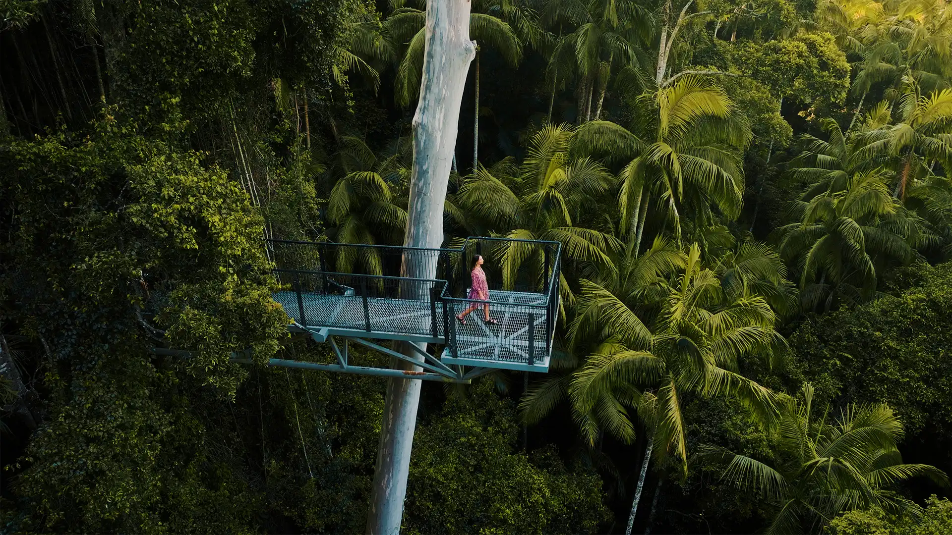 Gold Coast Tourism