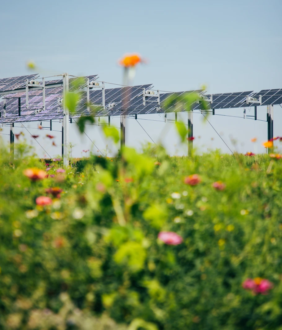 TSE et la biodiversité préservée 