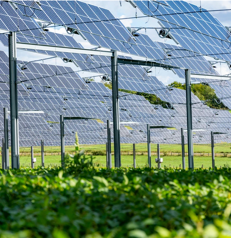 Panneaux sur trackers canopée agricole TSE
