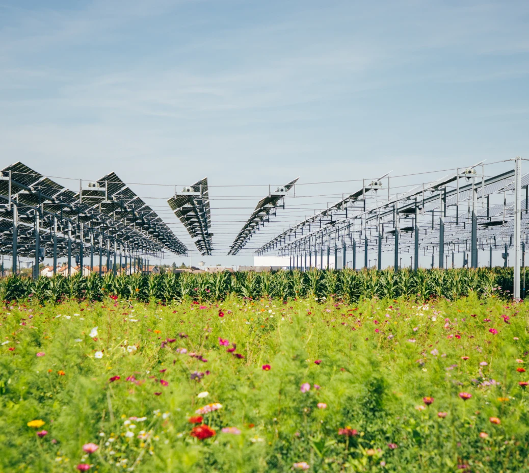 The agricultural canopy of tse expert solar energy