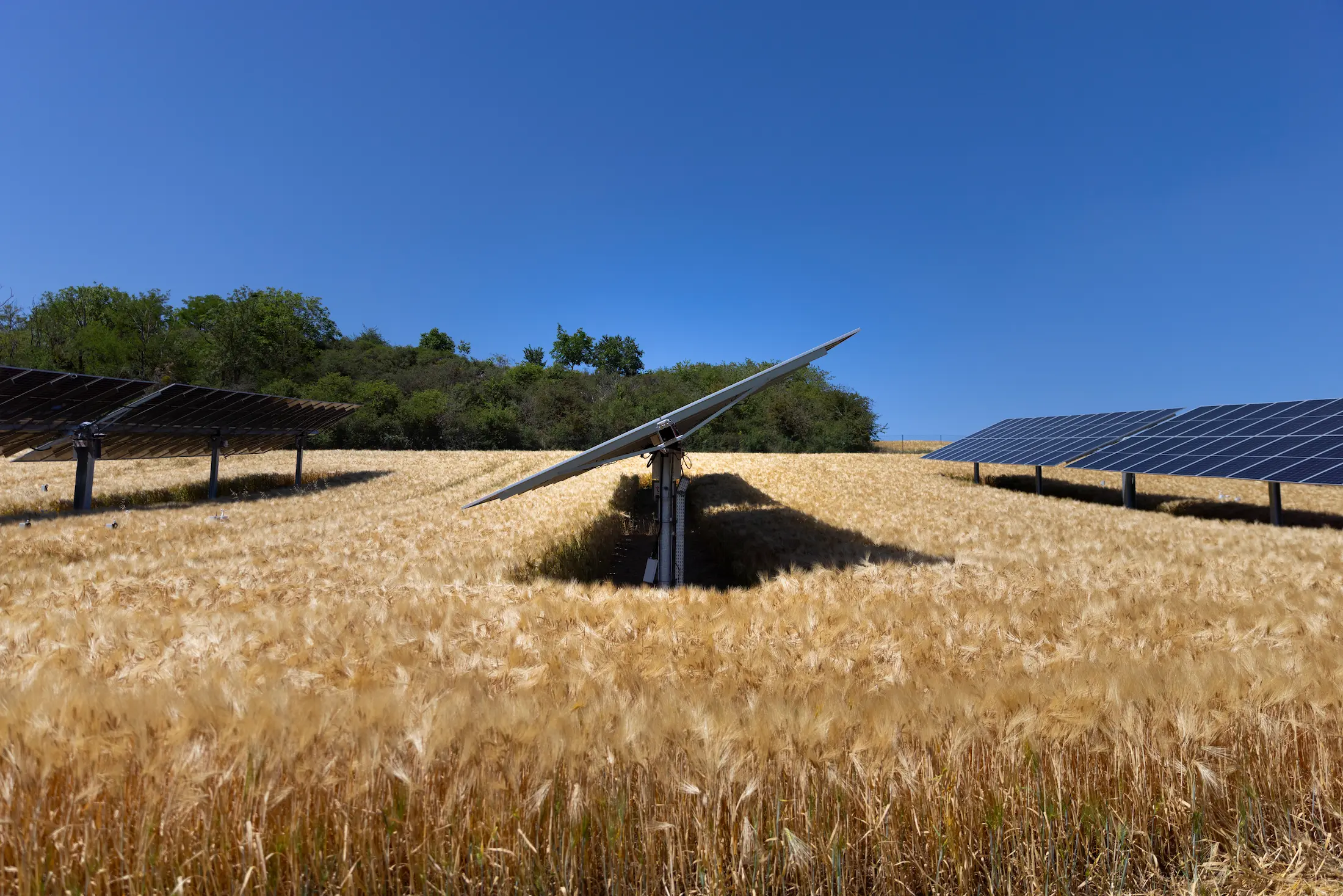 Un tracteur sur une parcelle agricole entouré d'ombrières agrivoltaïques dédiées aux cultures