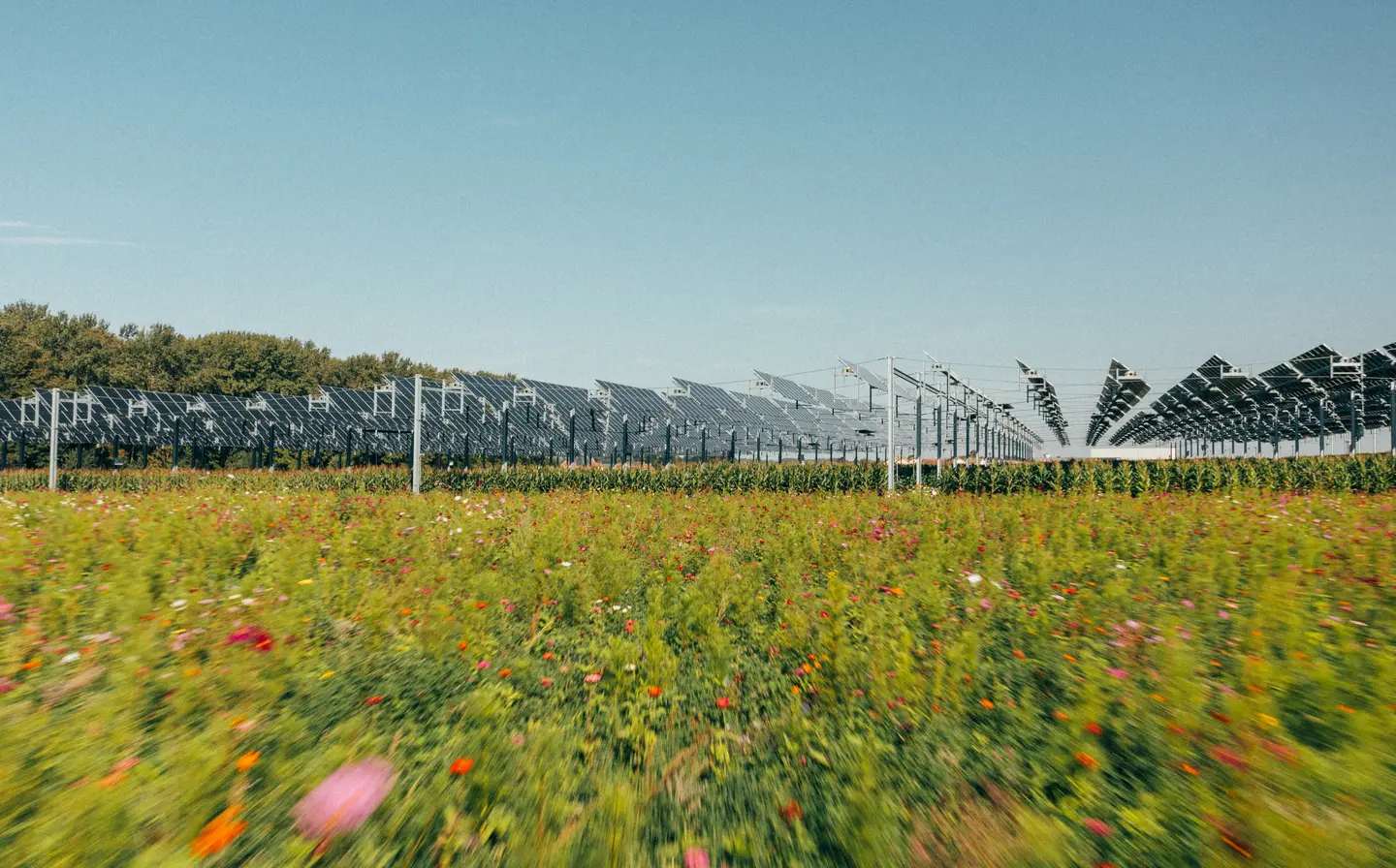 The Brouchy agrivoltaics project