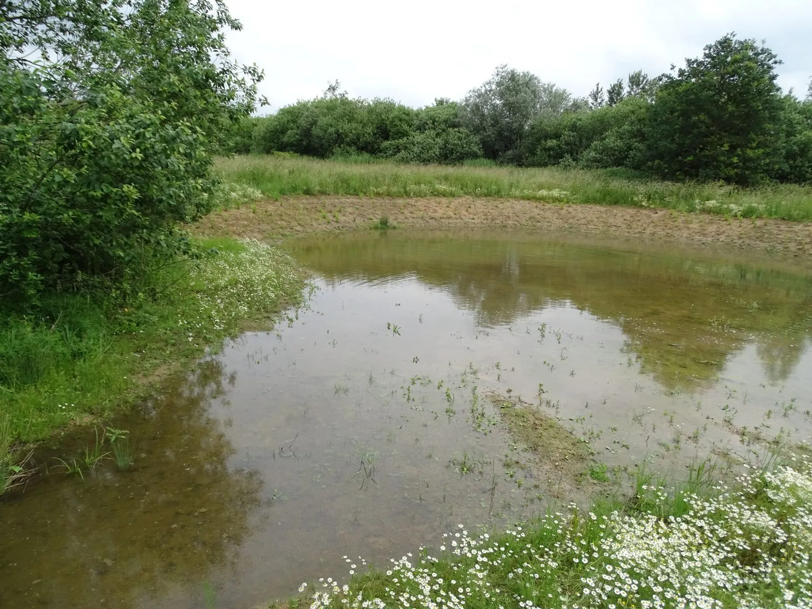 TSE and the National Museum of Natural History sign a concrete agreement in favor of biodiversity