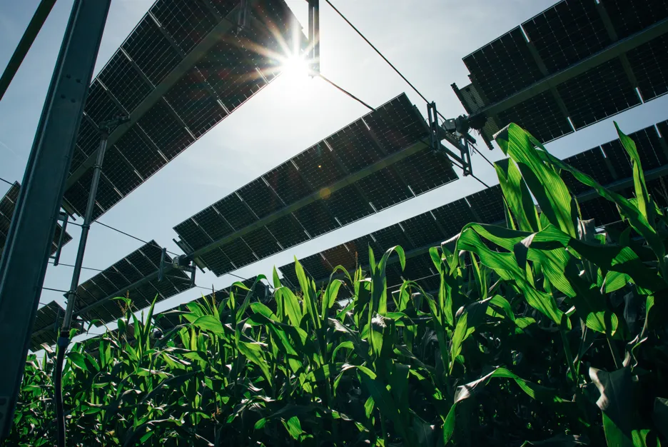 TSE, salon des maires et des collectivites locales 2023