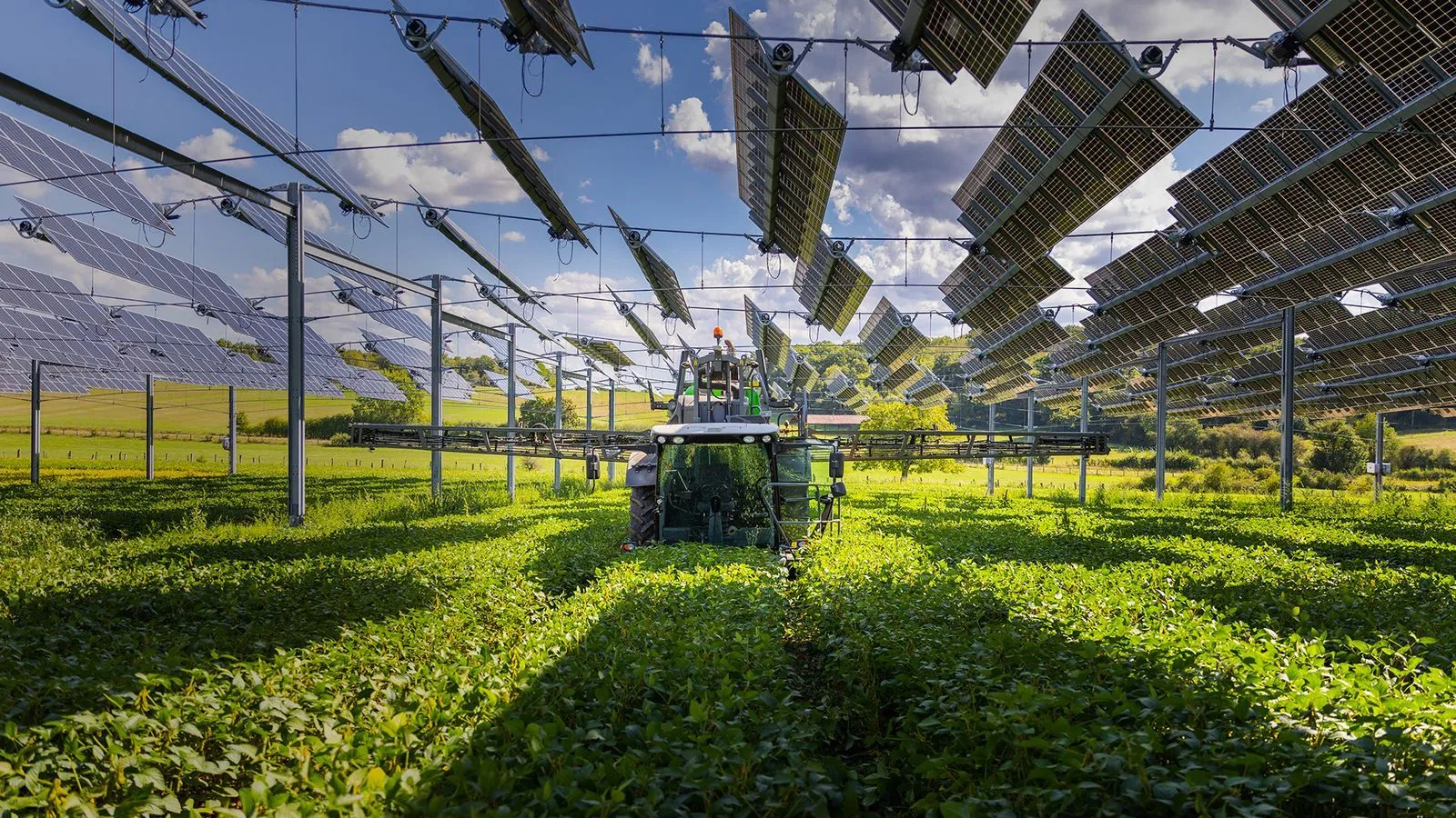 TSE at the International Agricultural Show