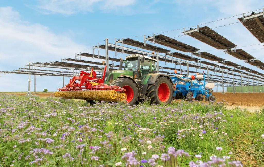 TSE obtains funding of 11 million euros for its agrivoltaic power plants.