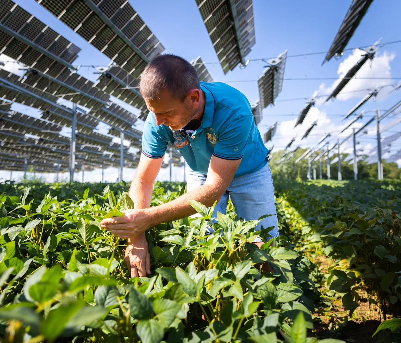 Sylvain Raison, farm operator in Amance
