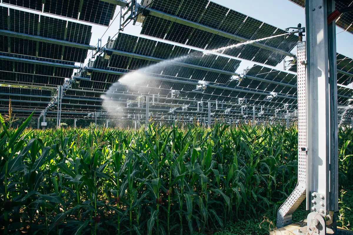Agrivoltaics : a tool to preserve water resources