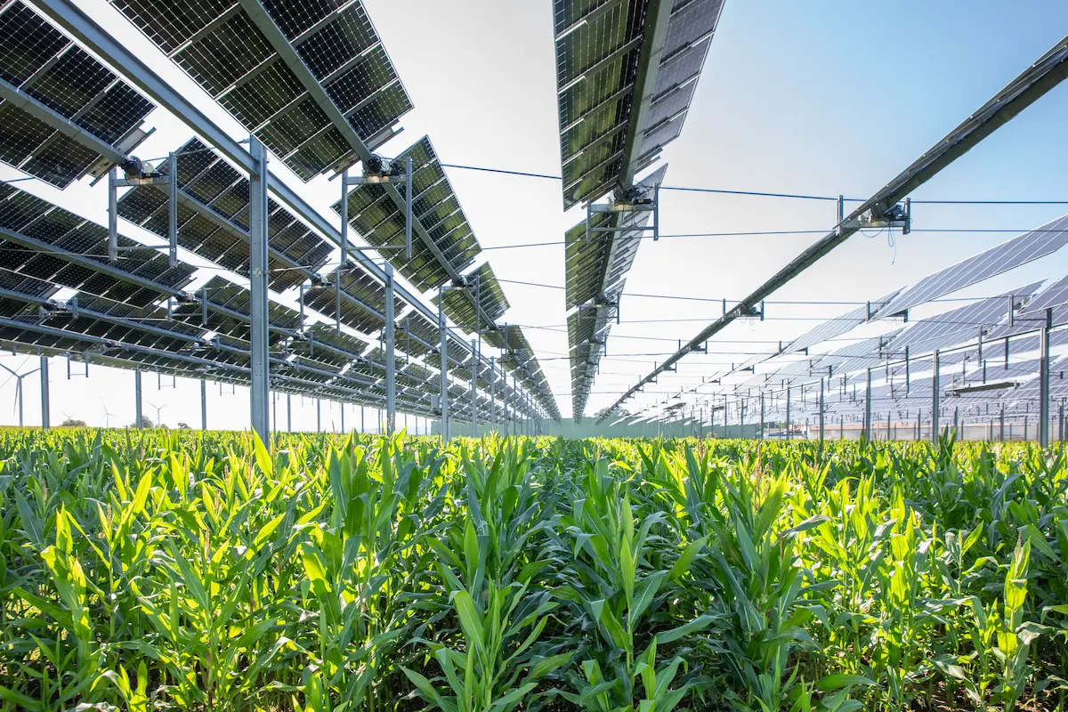 TSE agricultural canopy: first results of agrivoltaic experiments