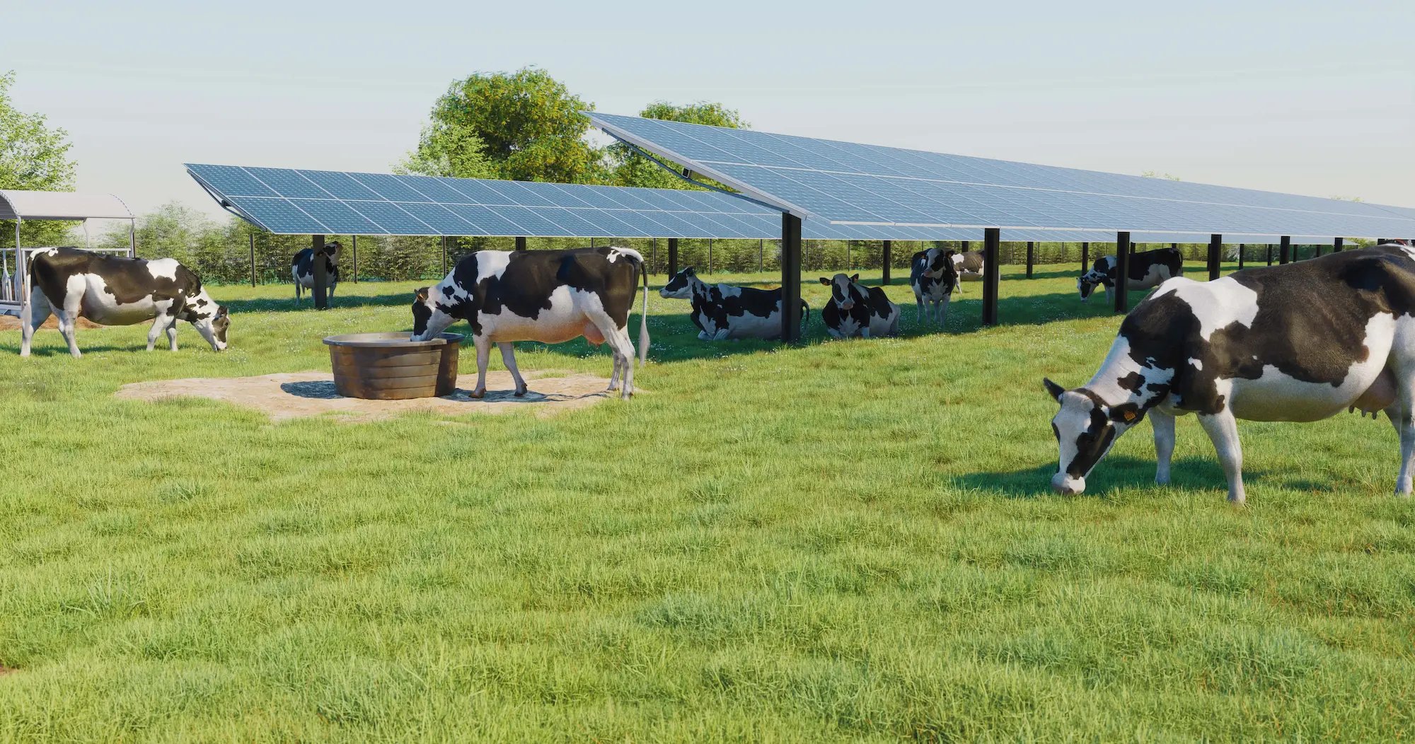 TSE signs a partnership with Soltec, a Spanish leader in solar trackers