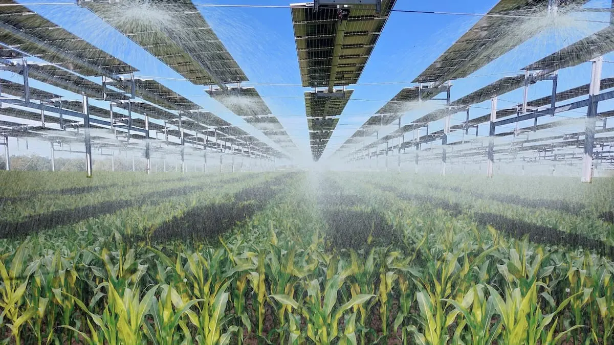 Water and agriculture : understanding the issue in 6 key points