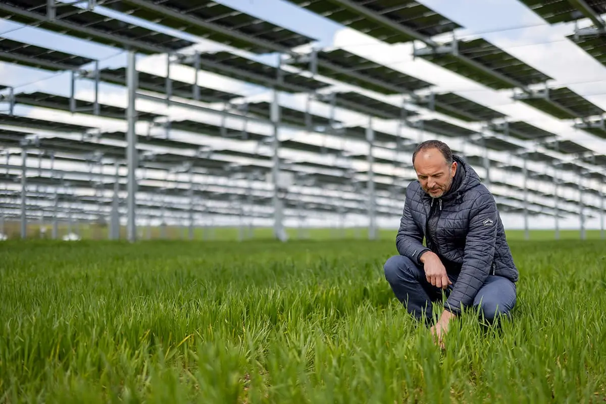 Farmers and agrivoltaics : what roles in the energy transition ?