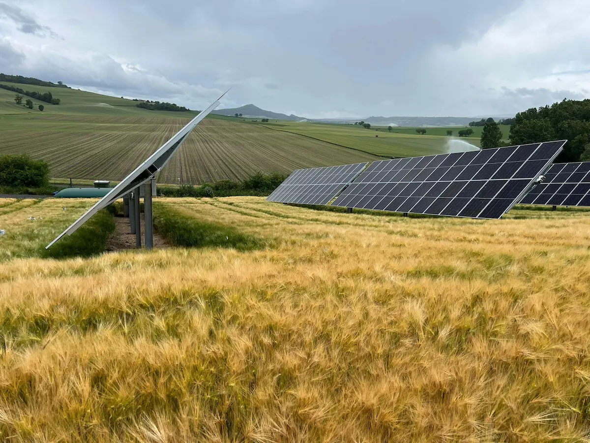 TSE Agrivoltaics: Excellent 2026 Agronomic Results