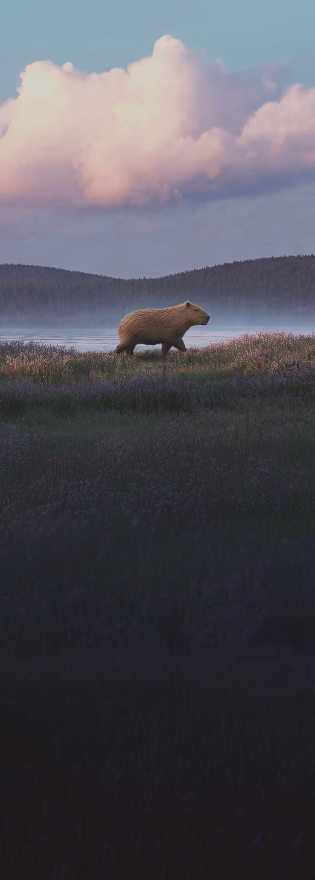 avrea capybara walking in a field