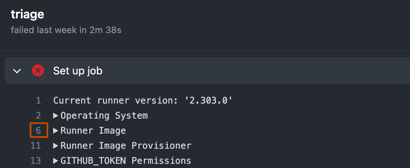 GitHub Actions job log with an expanded Set up job step, runner version, and Runner Image log group.