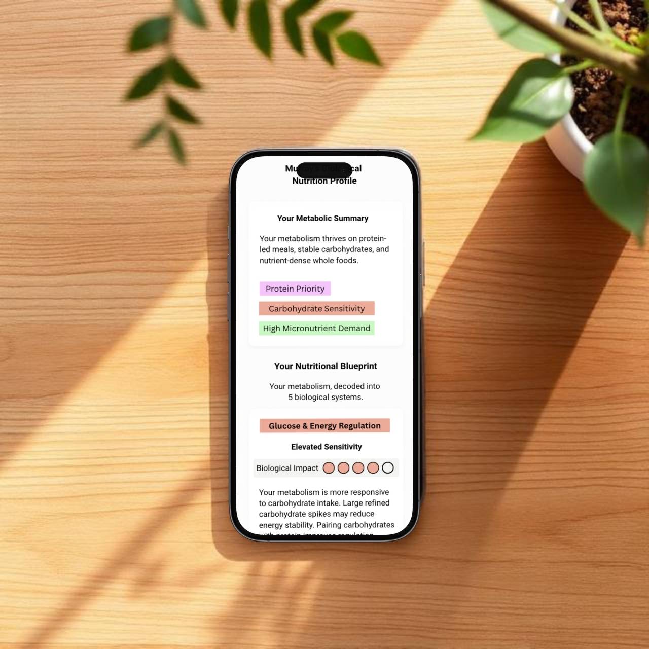 image of health program [interface]