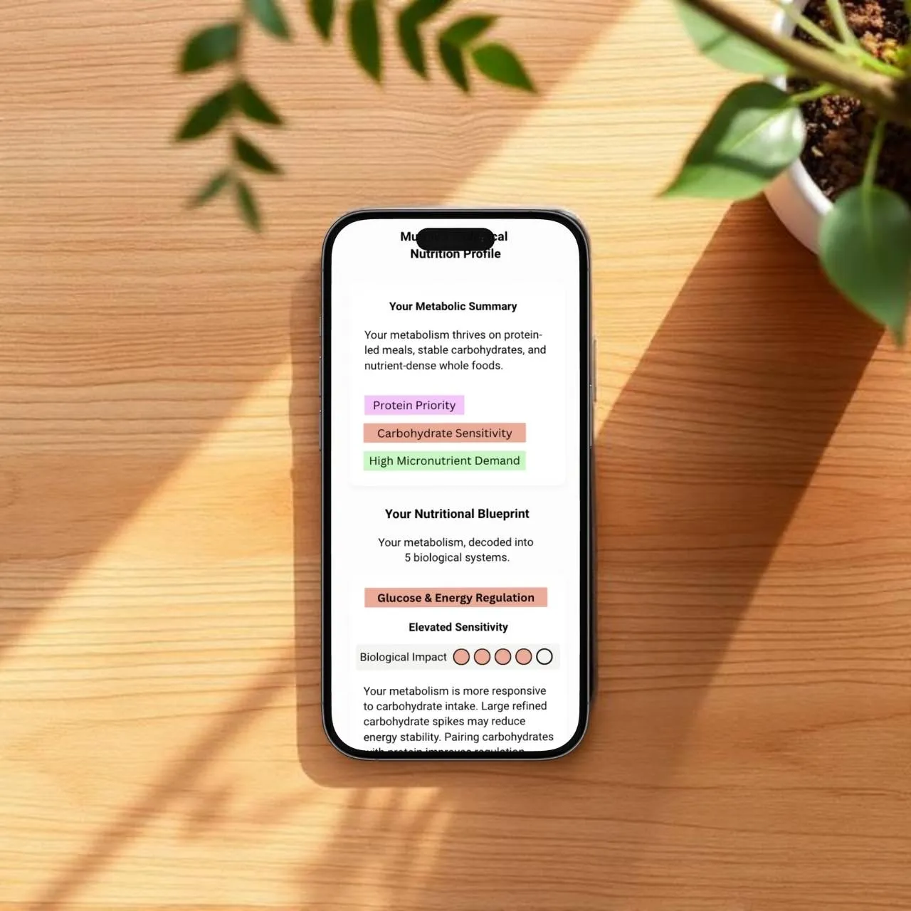 [digital project] app interface design displayed on a mobile device (for a web design agency)