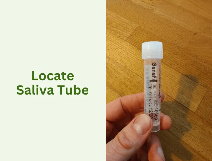 Locate the saliva tube