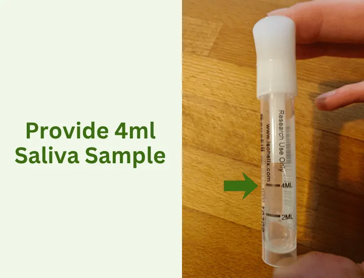 Provide your saliva sample