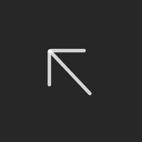About V1 Icon