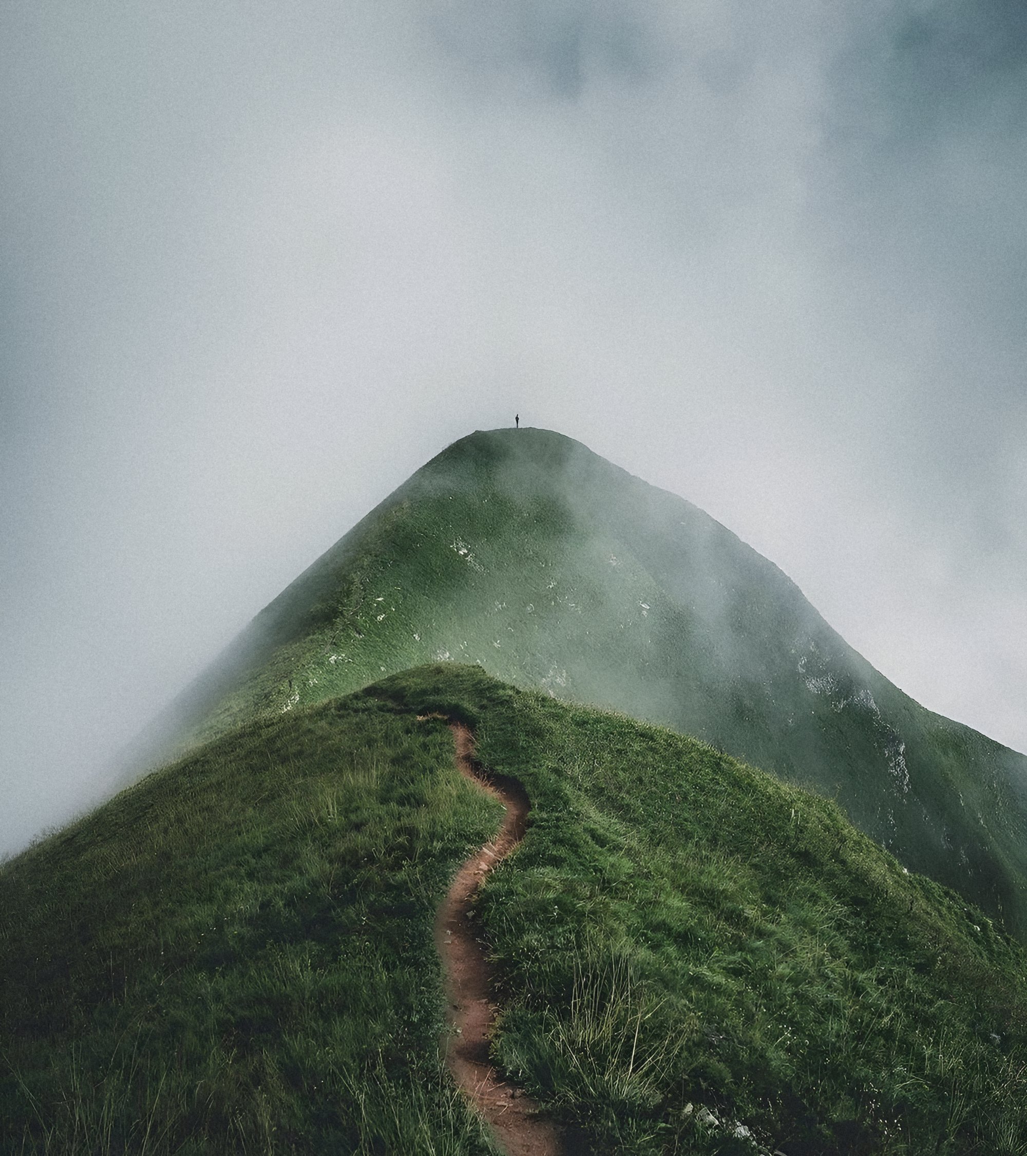 Embracing Uncertainty