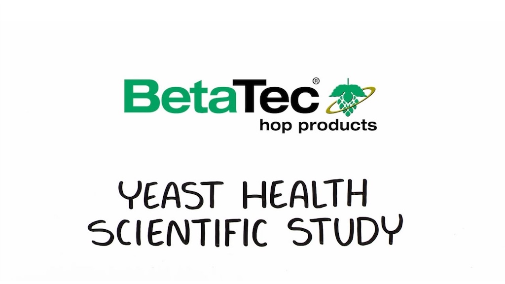 BetaTec Hop Products yeast health scientific study for brewing performance and fermentation quality