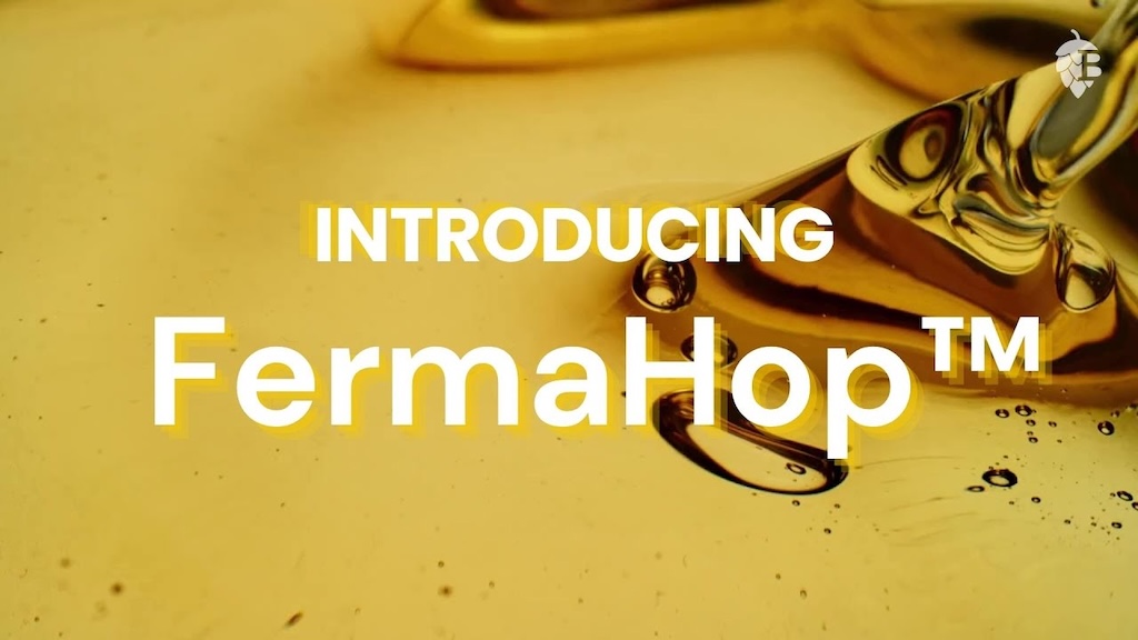 Introducing FermaHop by BetaTec for advanced hop-based brewing and fermentation solutions